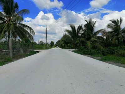 BÁN 2 lô liền kề tổng 2684m2 trong đó có 300m2 thổ cư MT đường bê tông 7m Ấp 5 - 6 Bình Đức Bến Lức