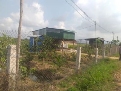 BÁN LÔ ĐẤT RUỘNG ĐANG TRỒNG CÂY ĂN TRÁI,TẠI PHƯỜNG ĐÔ VINH.LÔ ĐẤT RÀO LƯỚI B40 XUNG QUANH,ĐƯỜNG 4m