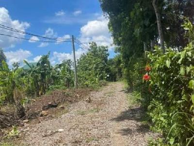 Bán 1200m2 tổng diện tích 1 sào2 có 10m MT, mặt tiền đa bi Giá 5xxtr phu tân, Định Quán, Đồng Nai