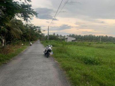 Bán lô đất mặt tiền đường nhựa Tại ấp hoà thành xã bình ninh huyện chợ gạo Tổng diện tích 3496m