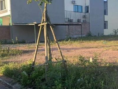 Bán đất Đông Lương Diện tích 7,5 x 26 m Hướng Tây Đường 16m ngay sau lưng bệnh viện tỉnh