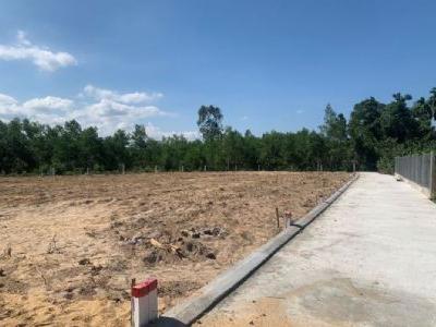 Đất ở 100% tại Hành Đức, Nghĩa Hành , còn 1 lô lk duy nhất Diện tích 5x46m 223m2 Hướng Đông
