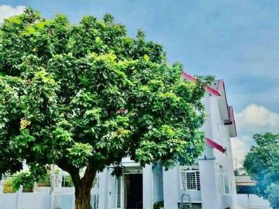 Bán Biệt thự Mặt Tiền Quốc Lộ 1A DT Đất 583,6m2 diện tích xây dựng nhà 11m x15m có 165m thổ cư
