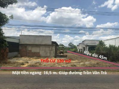 Chính chủ cần bán gấp lô đất mặt tiền đường Trần Văn Trà Diện tích 16,5 x 45 m2. Thổ cư 120 m2