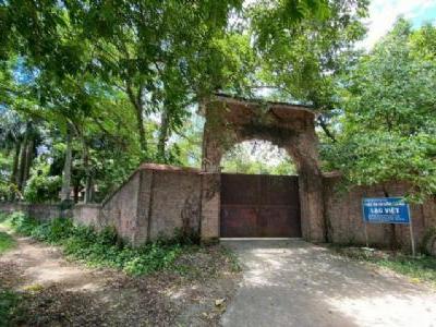 BÁN TRANG TRẠI 12000M LÁNG HÒA LẠC BỂ BƠI CÔNG VIÊN LỚP HỌC NHÀ SÀN