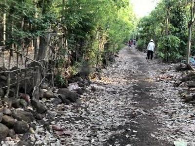 CHÍNH CHỦ BÁN VƯỜN XÃ HÒA PHÚ, TP. BUÔN MA THUỘT CÓ SUỐI ĐÁ ĐẸP NƯỚC CHẠY QUANH NĂM
