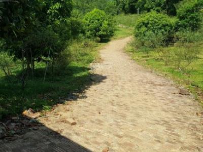 Cần bán khuôn viên trang trại nhà vườn siêu đẹp tại xã Hợp Thanh Lương Sơn Hòa Bình