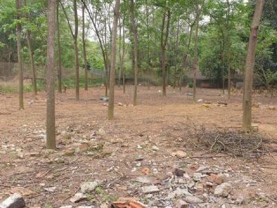 Siêu phẩm đất bám hồ nước lớn Xuân Khanh, Sơn Tây,Hà Nội 1 mặt bám hồ 1 mặt đưởng tỉnh lộ