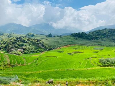 Dịch dã, chính chủ anh chị em bán 650m. Đẹp nhất bản Tả Phìn. 4 xung quanh ruộng bậc thang
