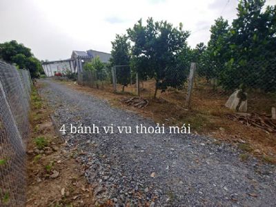 Cần bán đất trồng cây lâu năm khu vực Khóm Vĩnh Bình, Phường Tân Ngãi, TPVL Diện tích 1419,9 m2
