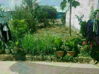 Bán nền gần ủy ban phường long hòa gia rẻ nhất khu Nền hướng đông bắc DT 5×16.60m
