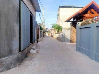 Gia đình cần bán mảnh đất Thị trấn Phú xuyên giá rẻ chỉ 6 triệu đất cực đẹp Diện tích 225m