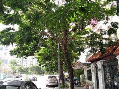 Bán gấp nhà mặt phố Hoàng Quốc Việt, 2 thoáng, kinh doanh đỉnh, vỉa hè khủng, 63m2, 6 tầng