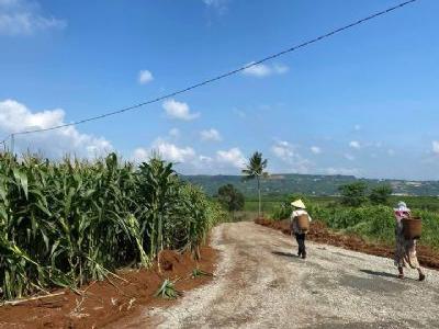 Cần ra đi 4 sào đất bao bằng phẳng kd bao đẹp; gần điện 3 pha,nước tưới thuận tiện Đinh Văn Lâm Hà