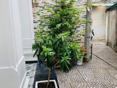 GIÁ TỐT MÙA DỊCH  CHỦ GIẢM 750TR BÁN NHANH 8.7TỶ => 7.95TỶ BIỆT THỰ MINI SIÊU ĐẸP SIÊU SANG