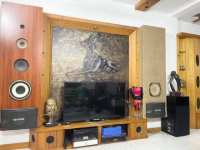 GÀ ĐẺ TRỨNG KIM CƯƠNG, bán gâp nhà Láng Hạ, Đống Đa, kinh doanh, ô tô, 35m2x4t, 5 tỷ 5