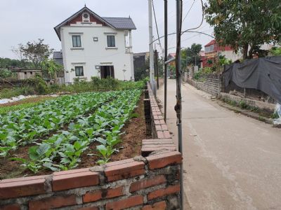 Chỉ nhìn thôi đã yêu rồi Đất Hồng Vân Thường Tín Giá nhỉnh 10trieu/m2 0944797188