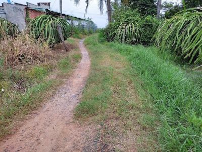 Nhà e cần bán gấp 1sào4 CLN Hàm Hiệp đường ô tô tận nơi, cách bê tông 50m, cách nhựa chính 350m