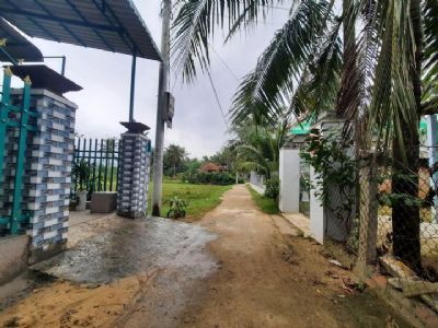 Bán Đất Cát Minh Phù Cát Bình Định DT gần 200 m2 ngang 8m giá 370tr sổ sẵn sang tên ngay