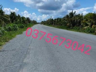 Cần bán 1254m2 đất CLN mặt tiền huyện lộ 173 mới thuộc xã hữu định, huyện châu thành, tỉnh bến tre