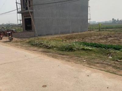 Hàng đấu giá tại quang tiến tân yên lô 140m thổ cư Mt 7m vuông vắn đẹp gần trường mầm non trung tâm