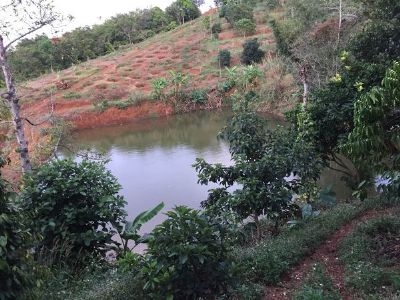 Cần bán đất tại tổ 5, p. nghĩa tân, DT 285m có 50m thổ cư và  8 sào đất rẫy