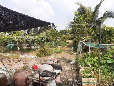 BÁN ĐẤT LUÔN 2 CĂN NHÀ Đất vườn trồng kiểng khóm Tân Huề, phường Tân Qui Đông, Làng Hoa Sadec