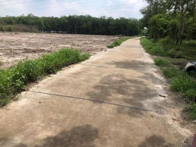 Đất dài và rộng làm xưởng hay xây trọ quá đẹp 13x76m nở hậu sát vườn rau sạch ấp 11, Minh Hưng
