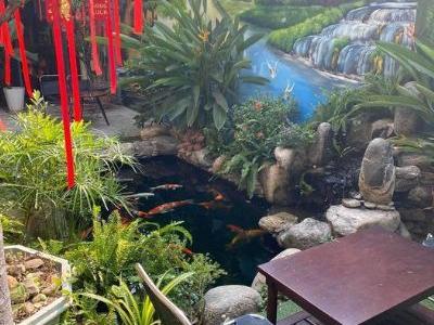 Bán 1ha1 đất trồng trái cây thuộc xã Xuân Thiện - Thống Nhất - Đồng Nai. 120m mặt tiền betong