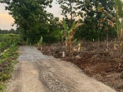 Bán vài lô đất sào gần chợ trường đường nhựa cây xăng Cách đường nhựa 500m ấp 5 Phú Tân Định Quán