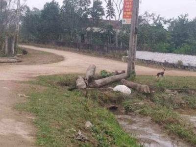 Bán đất tại xã Thạch Ngọc (từ trường lái đi vào 1,5km) Diện tích 3435m2 2 mặt tiền, đường bêtông 5m