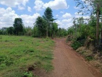 Em cần bán 5 lô đất sào Lộc An, Lộc Ninh, Bình Phước giá 380 triệu/lô. Anh chị liên hệ: 0387050818