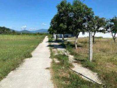 TÂN SINH ĐÔNG Cam Lâm Khánh Hòa CÁCH ĐỒNG BÀ THÌN SUỐI CÁT CHỈ 500M TRỤC ĐƯỜNG SỐ 3 DT 330 M2