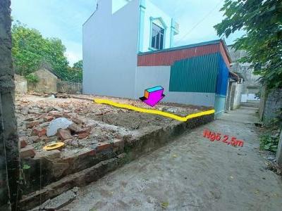 CẦN TIỀN BÁN GẤP 61m2 ĐẤT Ở ĐẠI ĐỊNH - TAM HƯNG. SÁT ĐƯỜNG CIENCO5 và VÀNH ĐAI 4.