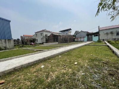 CÓ 8 LÔ MỚI RA HÀNG NAY ĐÃ BAY MẤT 5 LÔ tại Tam Đa - Thanh Văn - Thanh Oai - HN