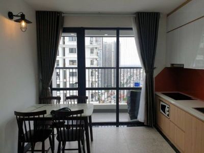 Chính chủ cần cho thuê căn hộ 2PN, 2Vs diện tích 61,5m2, full đồ tại chung cư IRIS GARDEN