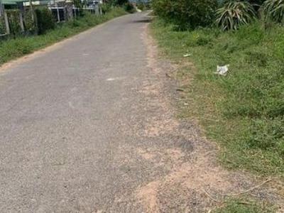 1429m2 đất cln thuộc thôn 1 Hàm Đức, ngã 3 cây đào đi vào.