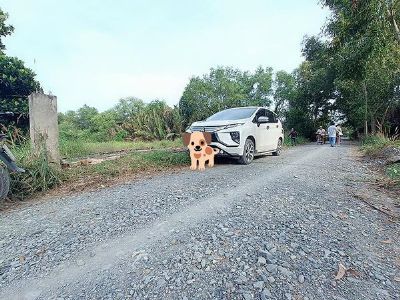1ty800 ngàn/1000m² thổ cư 100% Châu Thành tỉnh long an