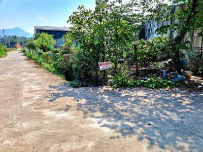 Tổ 12 P.Chí Kiên cần bán 310m2 lô góc, đường bê tông ô tô tải tránh nhau
