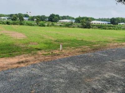 1000m2 (20x50) bán nhanh 300tr sổ sẵn