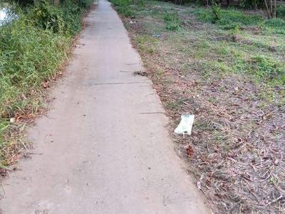 Bán mảnh đất lúa 20x62m. Đất đã lên nền. Lộ đan 2m, đường Bờ Bao kênh Hai Da phường 1 Bạc Liêu