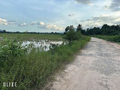 Chủ cần Bán 1 lô đất lúa Suối Cát , Cam Lâm , Khánh Hoà