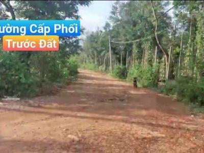 SIÊU RẺ 150 TRIỆU / 500M2 ( 10X50M ) - Ia Grai - Gia Lai VIEW NHƯ ĐÀ LẠT
