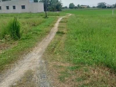 Chủ gởi lô đất gò cao ráo Hòa Khánh Đông, Đức Hòa
