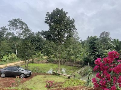 Cần bán 2.000m2 đất CLN tại hẻm cấp 1 đường 19/05 phường EaTam Tp BMT giá 1 tỷ 550.
