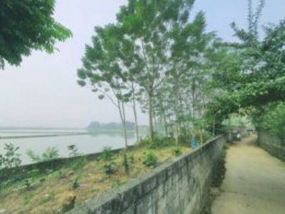 Chính chủ bán mảnh đất nghỉ dưỡng 387m2 - Mặt tiền 42m Đông Yên - Quốc Oai - Hà Nội