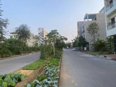 Chính chủ gửi bán lô đất view vườn hoa Siêu To Khổng lồ mặt đường đôi Nguyễn Đình Chiểu - Bò Sơn