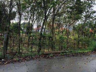 Bán Lô Đất Mặt Tiền Đường Nhựa (43,9m) Nguyễn Thị Định,TT Đất Đỏ TP Bà Rịa Vũng Tàu