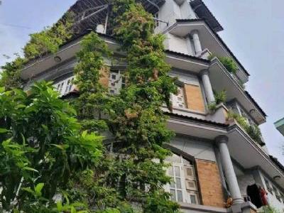 BÁN NHÀ HẺM XE TẢI PHẠM VĂN HAI, P3, TÂN BÌNH