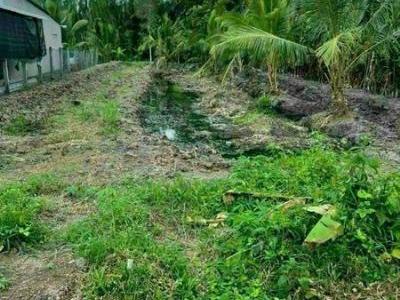 CẦN BÁN 01 NỀN CÓ 75m THỔ CƯ; ĐƯỜNG CẦU CÁI SÌNH; tại Khu Vực 2, phường 7, TP VỊ THANH .HG